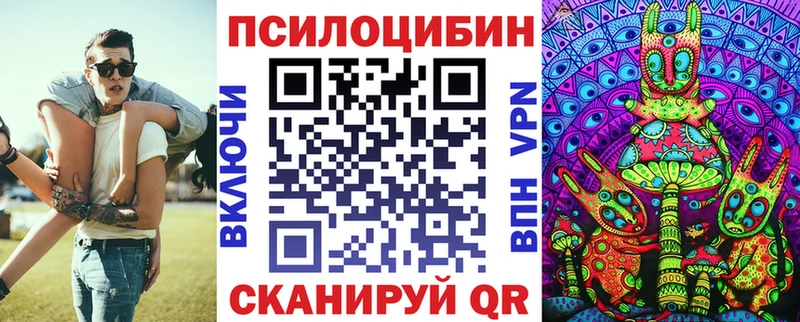 Купить  Верещагино  Галлюциногенные грибы Magic Shrooms 